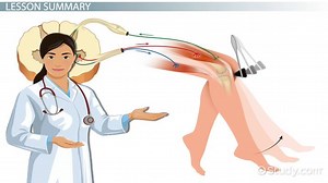 Reflex Arc: Components, Importance & Examples