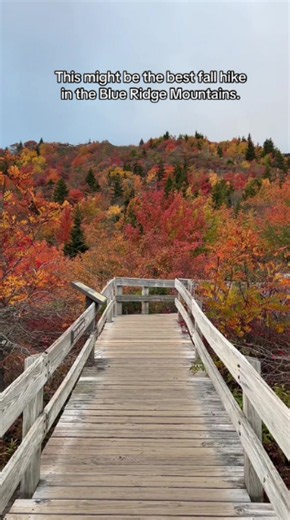 The best fall hike in the Blue Ridge Mountains