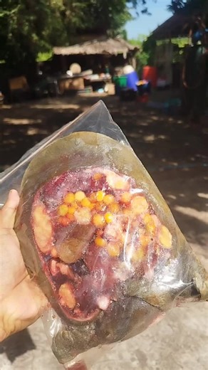 #ตะพาบน้ํา #อาหารป่าหายาก #อาหารสุราษฎร์ธานี