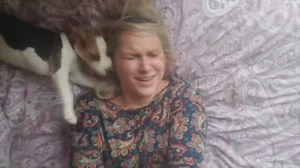 Beagle puppy grows from 8 weeks to 3 months old