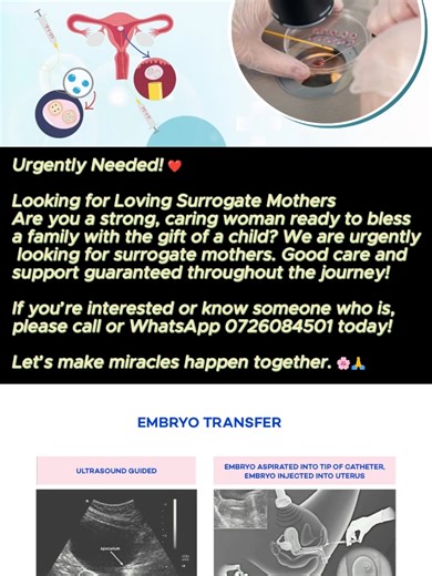 #surrogatemother#Lswc#fyp