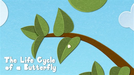 The Life Cycle of a Butterfly – Motion Explainer