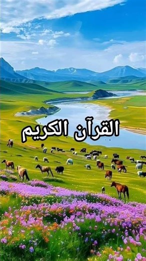 QURAN URDU TRANSLATION #love​ #quran​ #quranforeever​ #quranrecitation​ #motivation