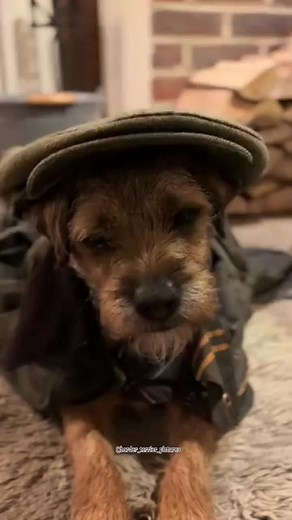 67K views · 1.1K reactions | Hes a hard working boy  Follow...