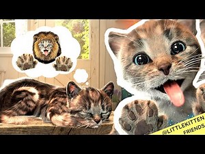 Little Kitten Preschool Adventure Educational Games -Play Fun Cute Kitten Best Learning Game #1033