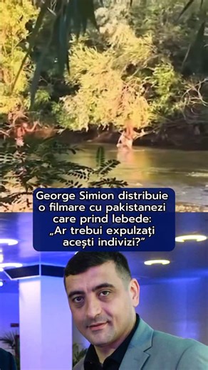 George Simion a distribuit pe Facebook o filmare în care sunt surprinși patru cetățeni pakistanezi care prind două lebede pe râul Argeș și întreabă: „Ar trebui expulzați acești indivizi? DA / NU” Colega lui George Simion, Gianina Șerban, a transmis pe pagina sa de Facebook că: „Îi felicit pe poliţiştii Biroului pentru Protecţia Animalelor Ilfov pentru intervenție și sper ca acești sălbatici să plătească. Avem nevoie de instituții puternice! AUR se opune planului de a aduce migranți ilegali în Ro