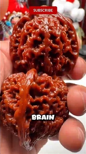 The Fruit That Looked Like a Brain!