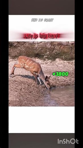 Life is big hard 💀 #shorts