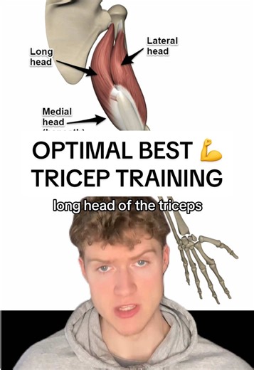 Optimal Best Tricep Training Techniques for Strength