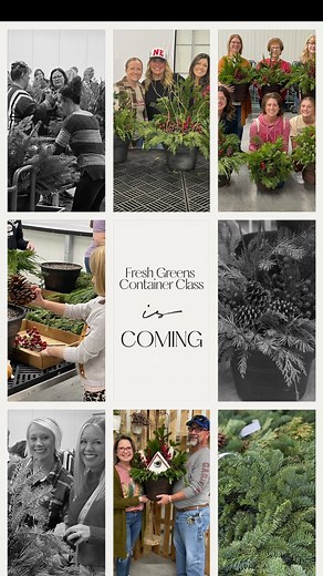 🎄Fresh Greens Container Class is Coming Up!🎄 Create a gorgeous fresh greens container to spruce up the front entrance for the holidays!🔔🎀 This class includes fresh greens, pine cones, red berries, a plastic container, and instruction. Additional items are available to add for extra cost. 🗓Date: Saturday, November 15th, 2025 📝Register: 10 AM https://shop.canoyergardencenterpapillion.com/greens-container-10-00am 📝Register: 2 PM https://shop.canoyergardencenterpapillion.com/greens-container-