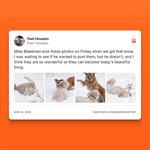 Pam Houston (@pamhouston1)