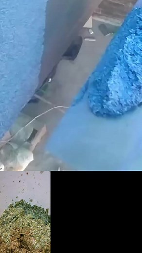 3.5K views · 23 reactions | #luxury Two type of #texture Madrasi Dana and liquid wallpaper | texturedesignfida | Facebook