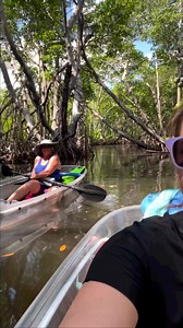 4.9K views · 68 reactions | Our kayak tours in Miami take you deep into the mangroves, where every turn reveals a new breathtaking vista. | Get Up And Go Kayaking | Facebook