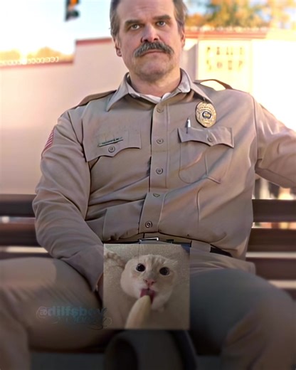 Topaz Effects on Jim Hopper from Stranger Things