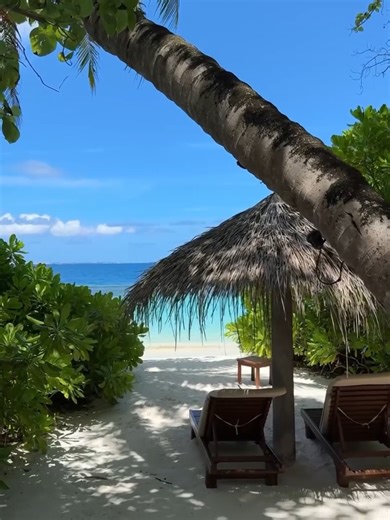 Baros is one of the top resorts in the Maldives. Tucked away in a natural jungle, leaves rustling overhead, sounds of the sea and splashing waves. On the sand, you’ll find private sun loungers and a thatched parasol where you can relax in comfort, with the lagoon’s blue waters only a few steps away. Inside, retreat to warmly cosy furnishings, rich timber hues and every amenity under the sun. @na_more.online #BarosMaldives #BlissfulBaros #maldives #maldivesislands #island #luxurytravel #islandres