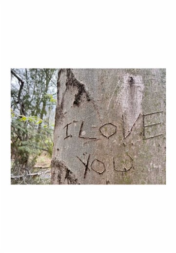 Exploring Girlhood Through Nature Aesthetics