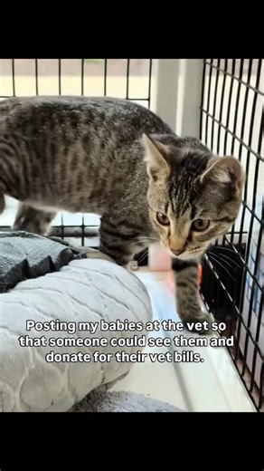 your donation will mean alot to complete this transaction