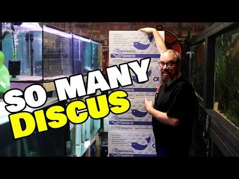 My Biggest Discus Order Yet…