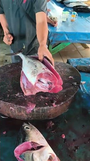 Fast⚡Tuna Fillet Masterclass - Market Style #knifeskills #fillet #fishcutting #viralshorts