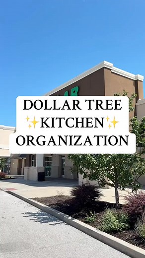34K views · 451 reactions | VIRAL勞 Dollar Tree✨KITCHEN✨ ORGANIZATION!!  Which idea was your favorite! . . #tutorial #homehacks #hack #homedesign #organizationideas #dec~ #organization #diy #home #dollartree #hacks#lifestyle #diyproject | Augedith Pink | Facebook