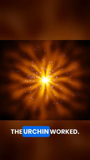 The Trinity Test the Birth of the Atomic Bomb