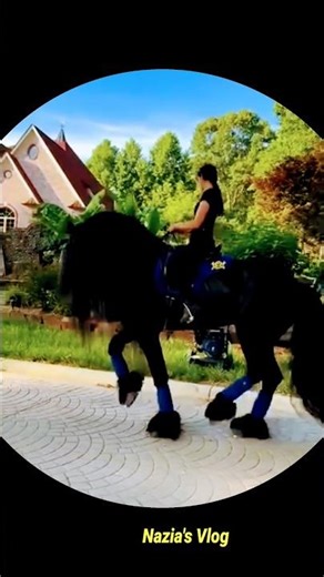 আল্লাহ আল্লাহ আল্লাহু #shorts #horse #viral #ইসলামিক_ভিডিও #popular #naziasvlog #foryou #allah