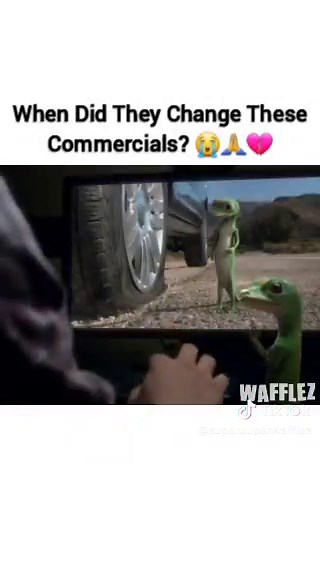 #fypシ #geico #commercials #funnymemes #xybzca | Gecko Lizard