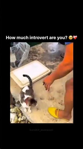 How much introvert are you? 🥹❤️‍🩹