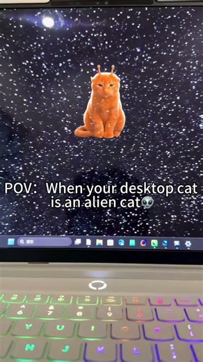 My Desktop Cat Turned Into an Alien Cat 😭👽