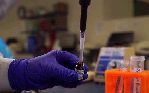 Bio-Techne DuoSet ELISA 实验操作指南