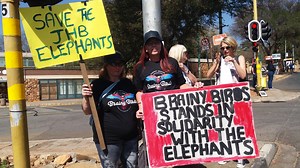 Ban Animal Trading protest outside Johannesburg Zoo against ‘incarcerated elephants’ - LNN - Network News