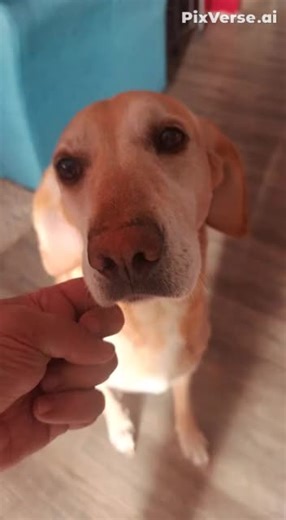 Victor Fernandez on TikTok