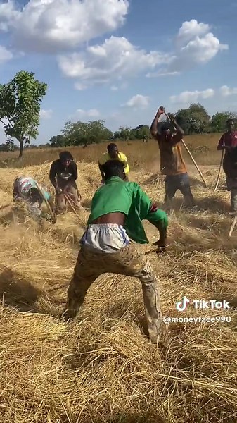 Alhaji MoNeY Face (@moneyface990)’s videos with original sound - Alhaji MoNeY Face