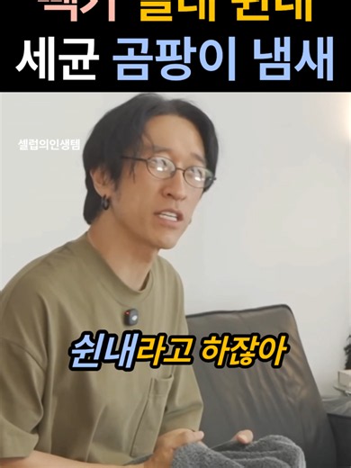 장마철 쉰내 나는 수건 냄새 제거하는 섬유유연제 추천