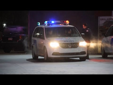 Police Stock Footage | Royalty Free HD Videos - No Copyright