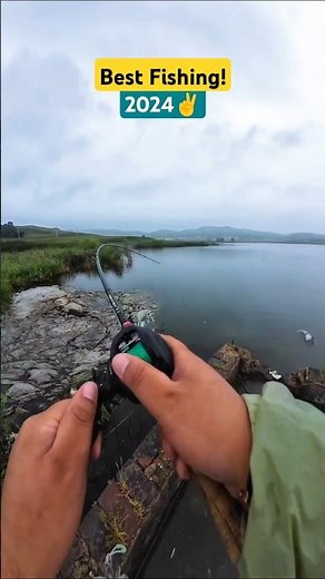 Latest match fishing videos 2024 | amazing fish video | hook fishing #fish #shorts #bait #river #4k