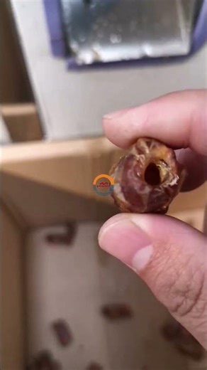 Automatic dates seed removing machine medjool dates pitting machine palm date seeds pitter