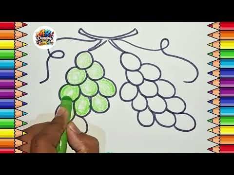 Step-by-Step Grapes 🍇 Drawing | Easy Art for Beginners | AR Drawing Centre
