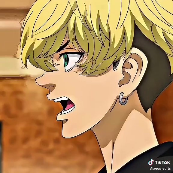 Chifuyu: Der Ehren-Bruder aus Tokyo Revengers