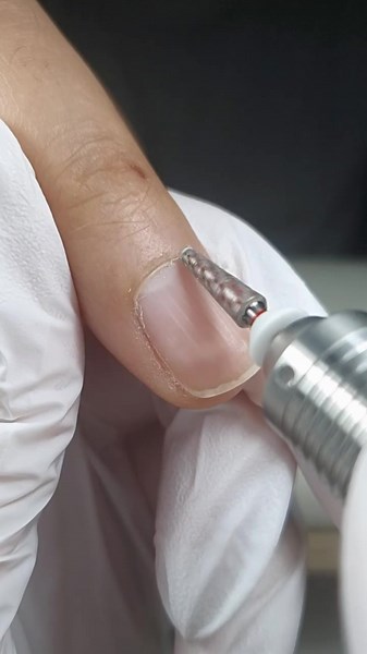 Explore the Largest Range of E-File Bits in the UK