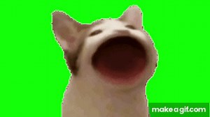 Pop cat green screen on Make a GIF