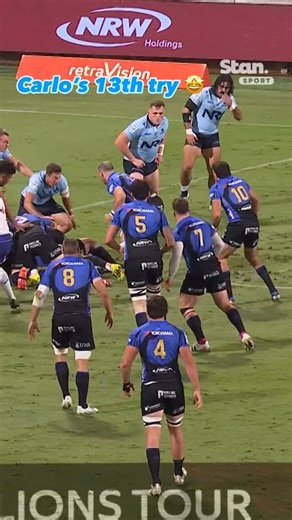 60 reactions | Carlo Tizzano breaks the record for the most tries by a forward in a season  ↳ Super Rugby Pacific. Every Match. Live & On Demand. #StanSportAU #SuperRugbyPacific | Stan Sport Rugby | Facebook