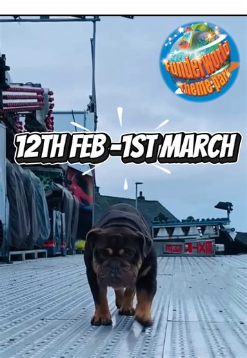 We’re having a pawsome time on site setting up the Extreme! #funfair #stoke #dogs #events