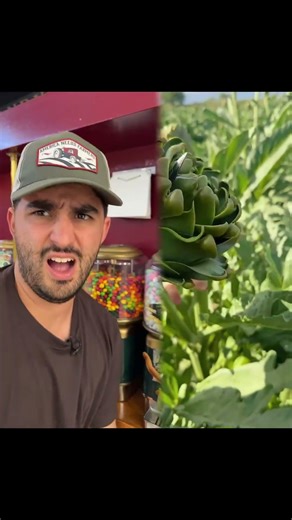 DO NOT DO THAT 😳#funny #pov #shorts