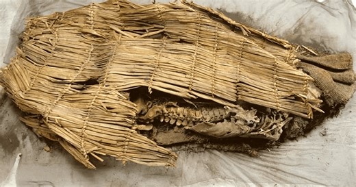 New Study Provides Details About The Oldest Mummy Ever Found And It Was Located In Nevada
