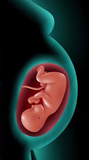 Why Are C-Sections Increasing Nowadays? | Normal Delivery vs C-Section Explained
