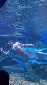 🧜‍♂️ | Wei Xeng
