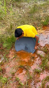 Discovery of gold-absorbing plants in rusty rivers #discovery #gold #plants #rusry #river #goldpanning | Nepri Andries
