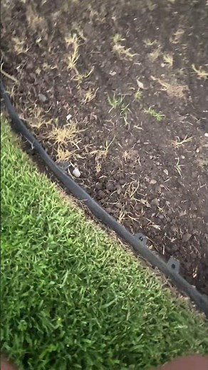 No Dig Landscape Edging Review
