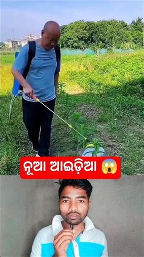 ଏମିତି ବିଷ ପକେଇବା ଉଚିତ୍ 😱👍 / #shorts #viral #trending #youtubeshorts #facts #tricks #odia #farming